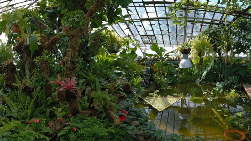 The Siberian Botanical Garden